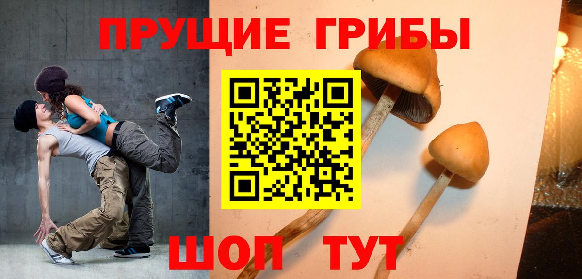 Галлюциногенные грибы Psilocybine cubensis Ярцево